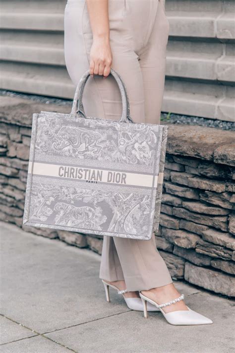 book tote bag dior dupe|christian Dior bag copy.